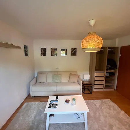 Central Home Apartment *