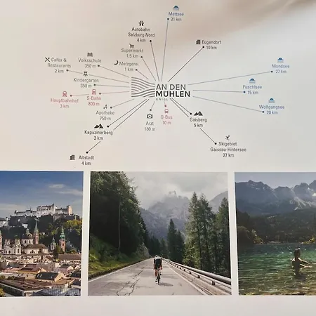 Central Home Apartment